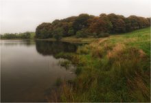 AUTUMN-lake ... ... / ***