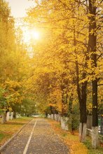 Autumn in the Vologda / ***