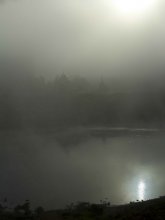 Fog over the river Dvina / ***