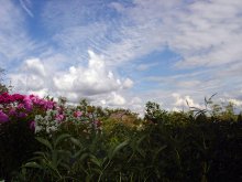 Drowning in colors. / ***