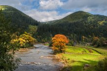 From the series "Carpathian pastoral .." / ...