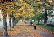 &nbsp; / ************