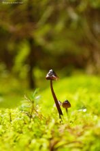 In the small world / .....