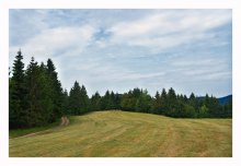 ~ * * * ~ / ~ * * * ~