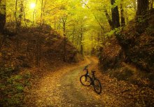 autumn trails / .....
