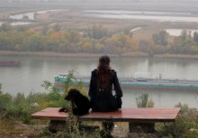 Autumn and a dog. / ***