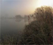 Misty frosty ... ... / ***