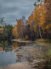 The leaves are falling ... / ***