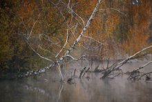 Morning near Minsk / ***