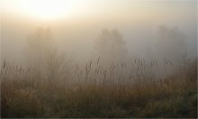 Under a veil of mist. / ***