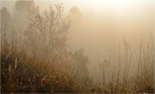 Shroud of autumn. / ***