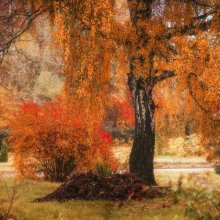 The palette of autumn colors / ***