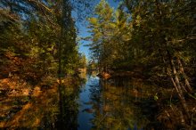 Transparent Autumn (Moriss ISL) / Transparent Autumn (Moriss ISL)