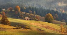 Golden slopes of the Carpathians / ***