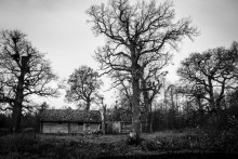 The old barn / ***