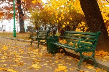 Autumn / ***