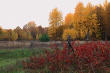 Autumn colors / _____________________*