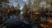 Moris Isl (Transparent Autumn) / Moris Isl (Transparent Autumn)