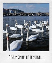 Prague walking # 22 / ***
