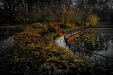 The descent to the autumn vode.. / Sokolniki / / ***