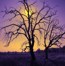 another world / infrared