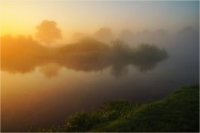 Forest in the Mist / ***