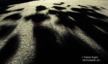 Mother and daughter in the world of shadows / ***