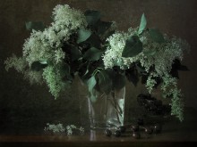 With forest lilac ... / ***