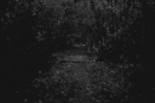 Twilight. / ***