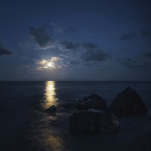Moonlight / ***