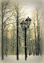 Asleep Park / ***