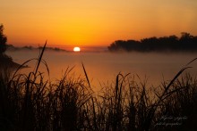 Dawn / ***