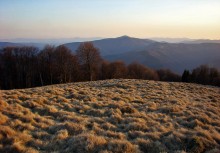 Evening on the ridge Singe Grun / ***