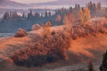 The November morning / ************