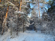 First snow of November / ***