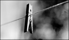 Widow / ***