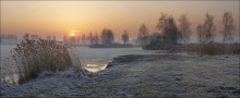 Frosty dawn. / ***
