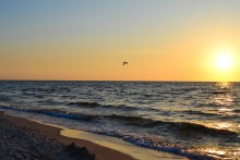 Sunset / ***