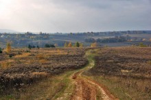 Autumn road / ***