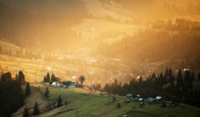 Carpathian Gold / .................