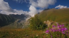At the heart of the Caucasus Mountains / ...
