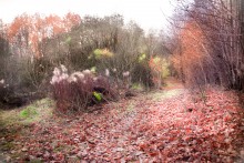 Autumn colors! / ***