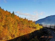 Road on the Yamal / ***