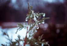 Touch of winter / ***