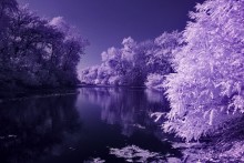 another world / ***