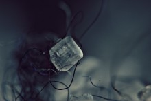 Sugar / ***