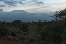 Kilimanjaro at sunset / ***