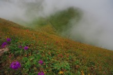 Time colors and mists / ...