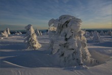 Severe land / ---