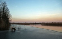 Dawn over the Pripyat / ***